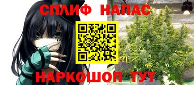 дмт Краснодар