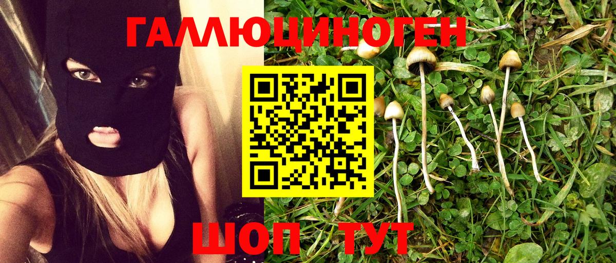 Псилоцибиновые грибы Psilocybine cubensis  Вход с VPN  Качканар 